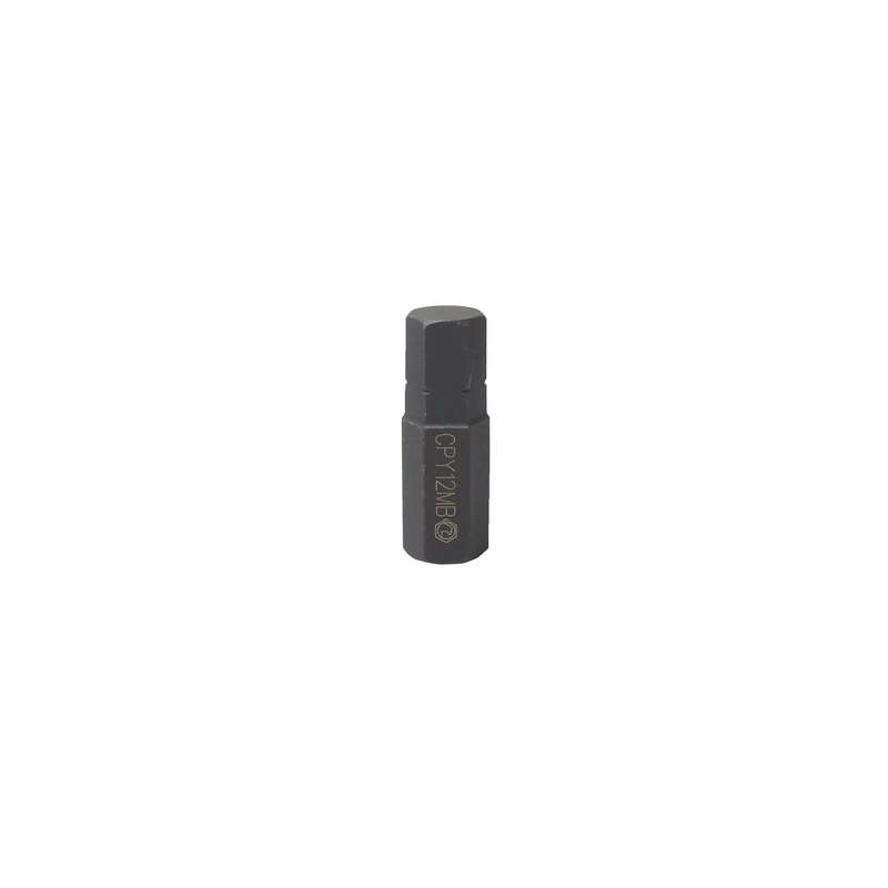 12 MM INTERCHANGEABLE BIT