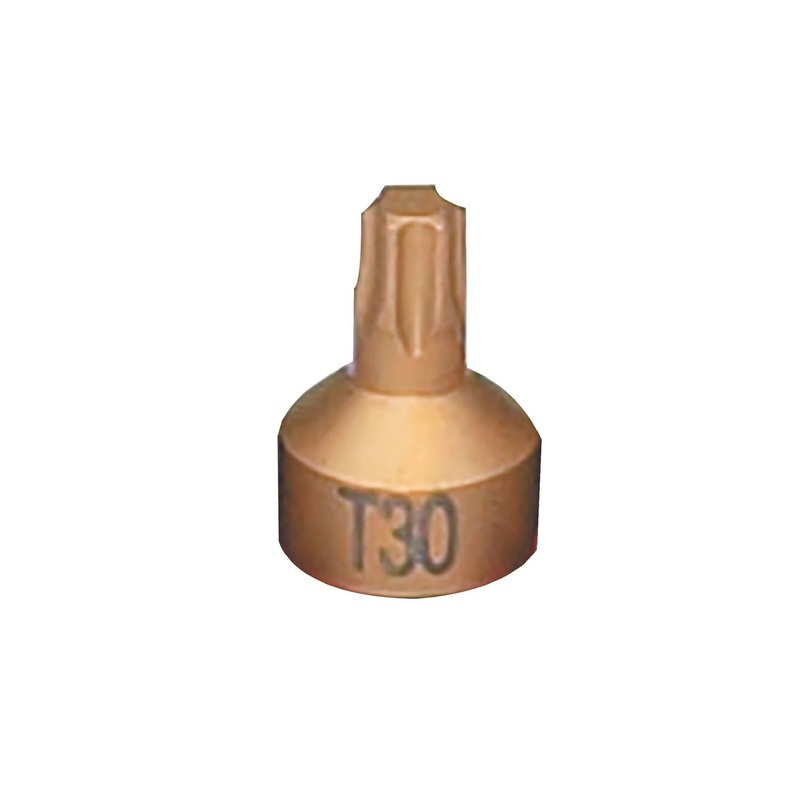 1/4 T30 1PC TORX BIT DRIVER