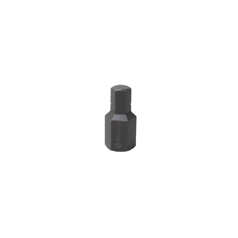 17 MM INTERCHANGEABLE BIT