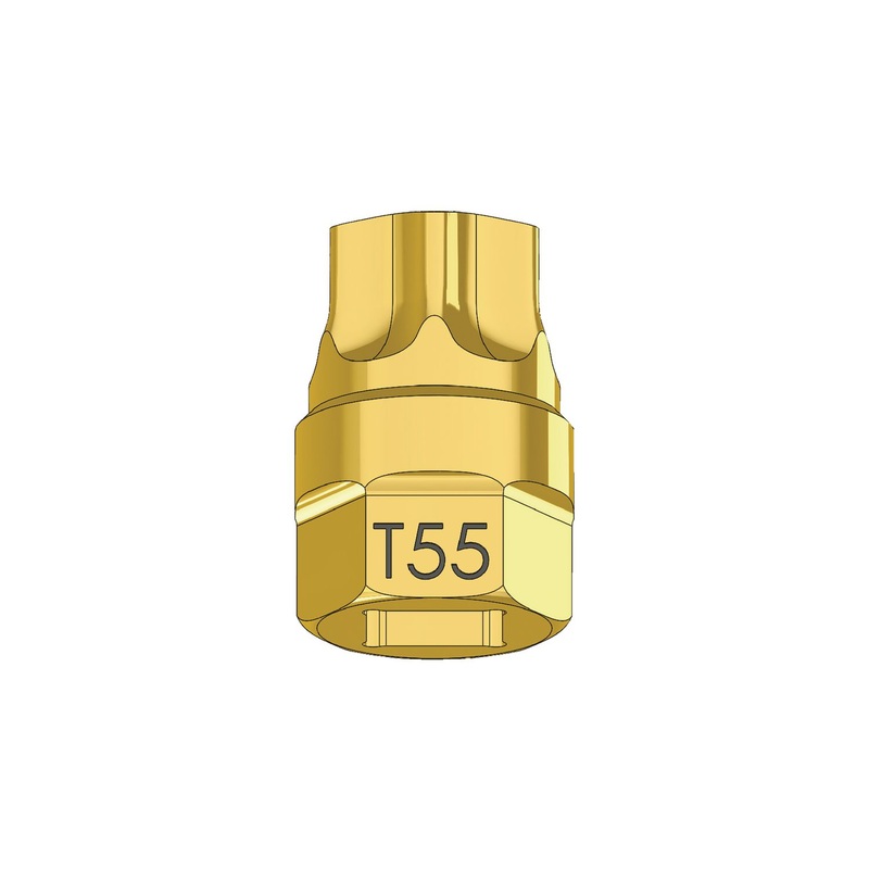1/4" X T55 1 PIECE TORX SOCKET